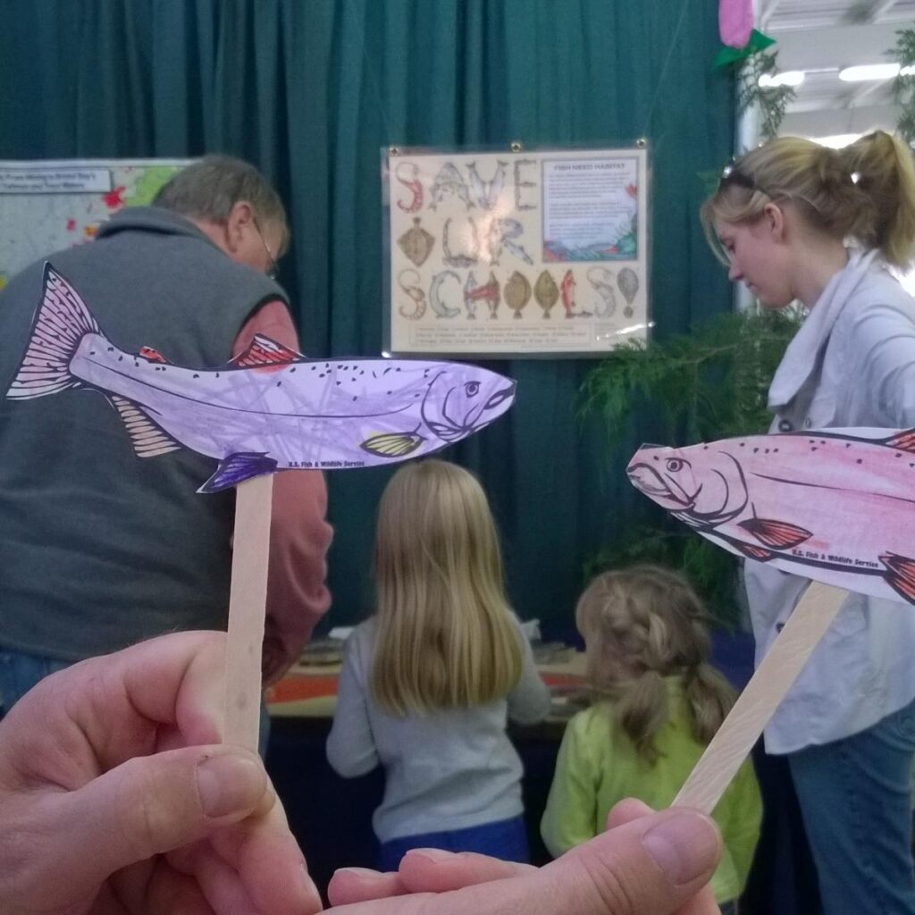 “Salmon and Steelhead on a Stick” Puppet – Trout in the Classroom